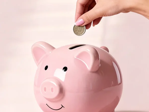 Kasica za budžetiranje