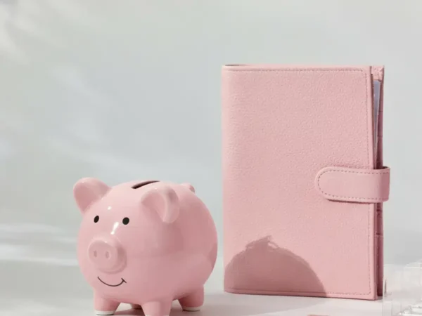 Kasica za budžetiranje